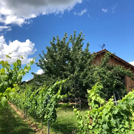 Im Weingut *